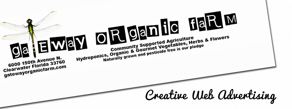 Web graphics, branding, logos, advertising